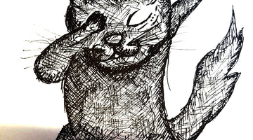 L'histoire du Chatpricorn